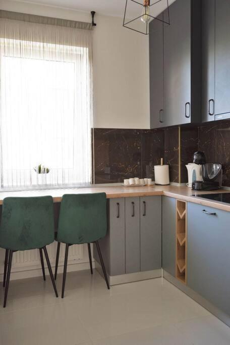 Eliza'S Apartment By Oasis Homes Oradea Luaran gambar